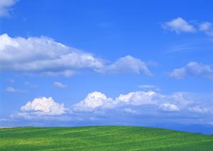 室内でお墓参りが出来る東本願寺の浅草浄苑堂内墓