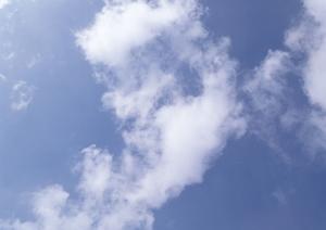 首都圏の浄土真宗お墓購入なら東本願寺の浅草浄苑