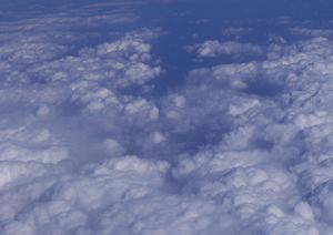 後継者がいなくても安心して購入出来る浅草にあるお墓